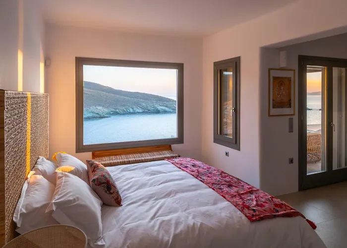 Anasa Kea * Grionisi